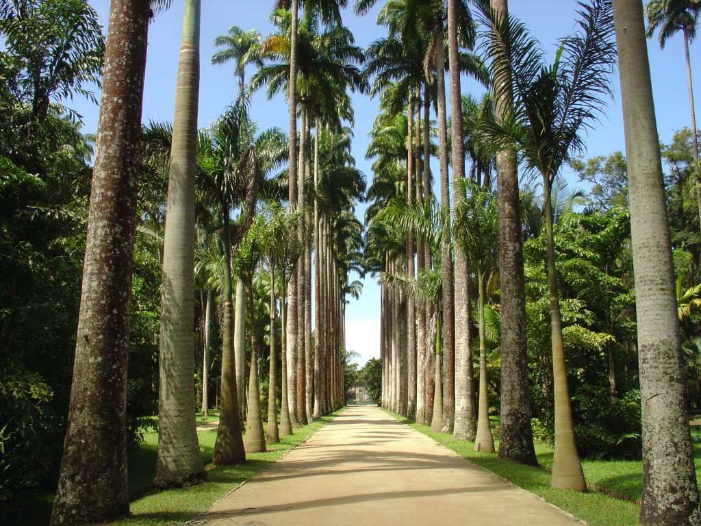 Jardín Botánico.