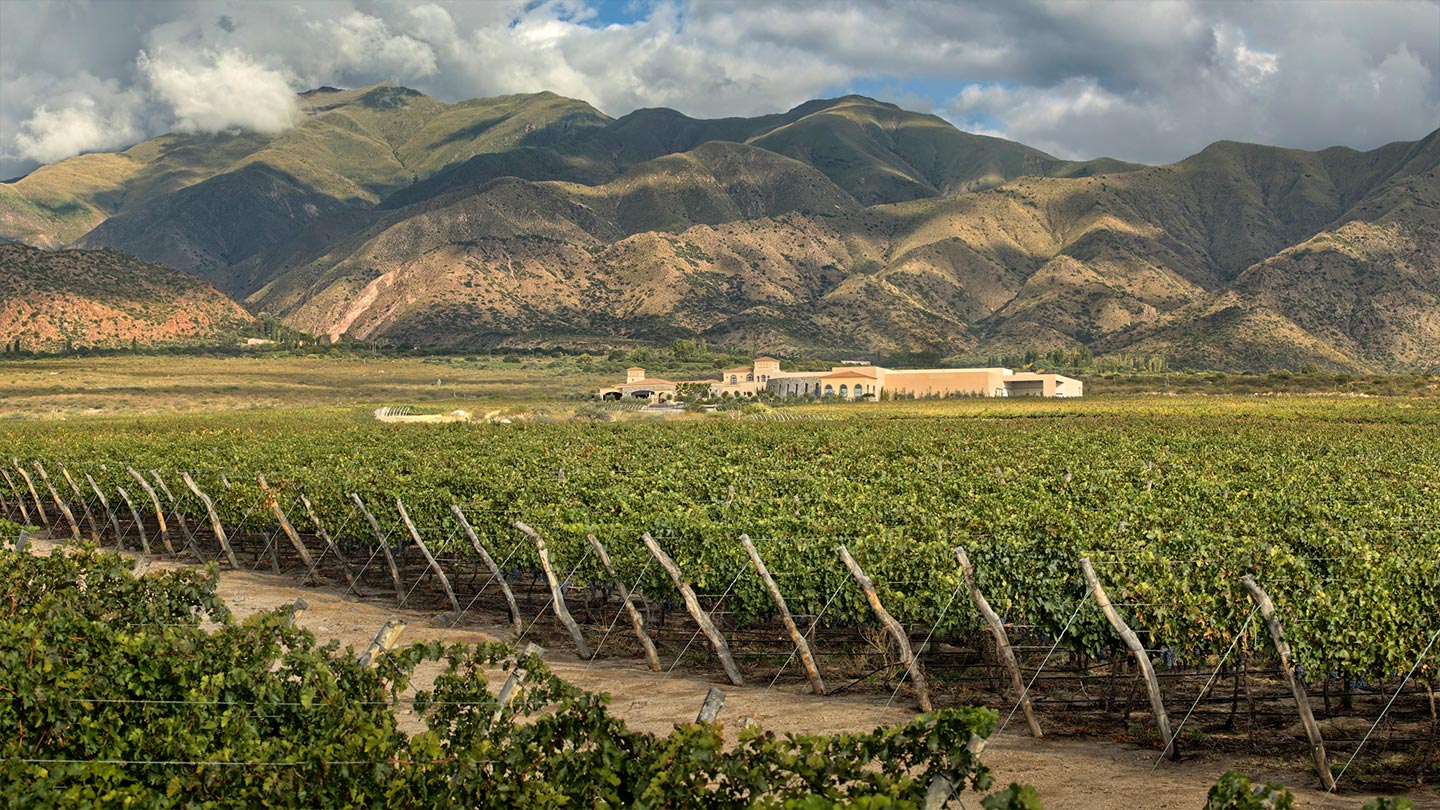 cafayate-bodega-savarin-turismo