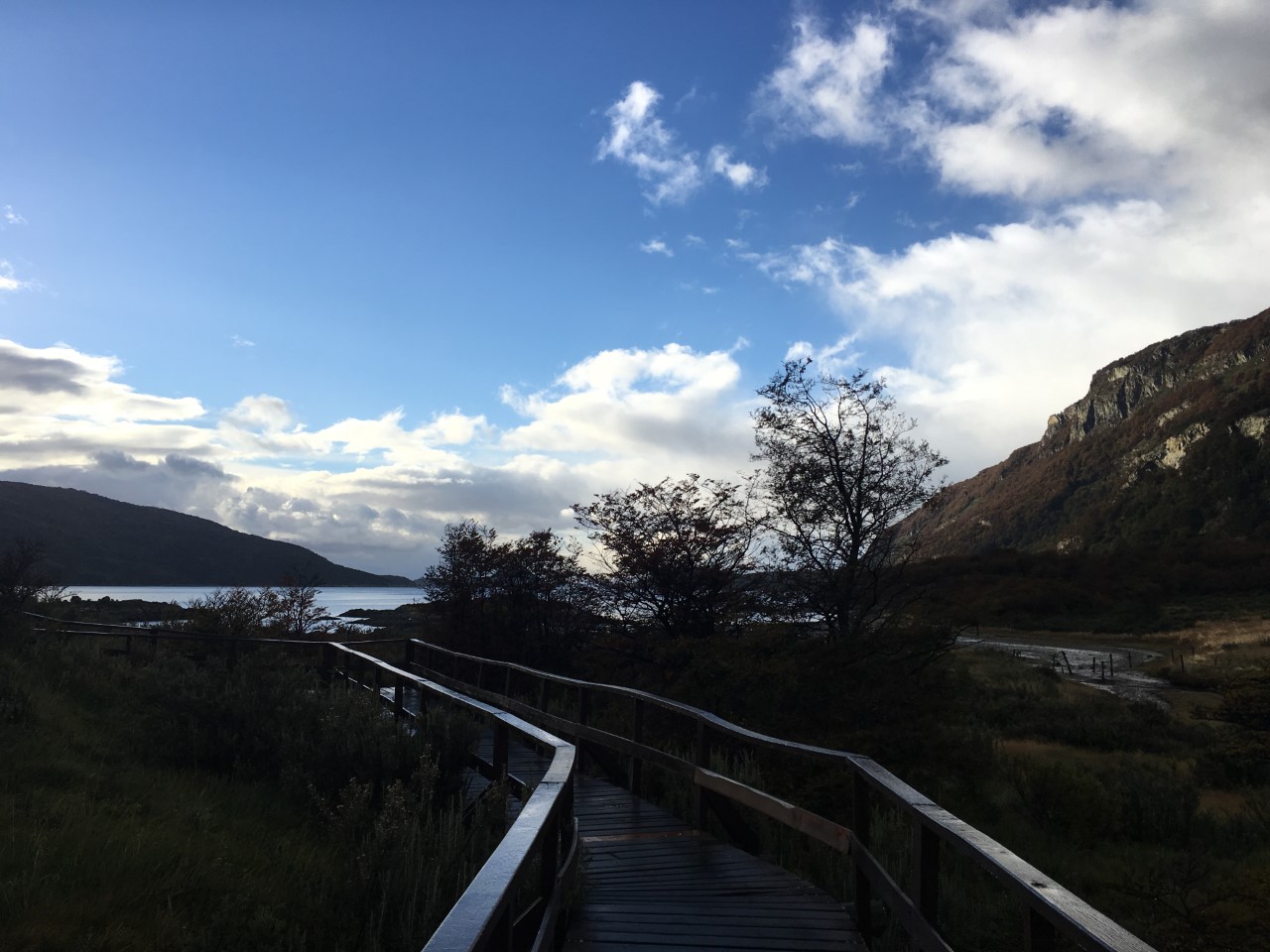 pasarelas-parque-nacional-ushuaia-savarin-turismo