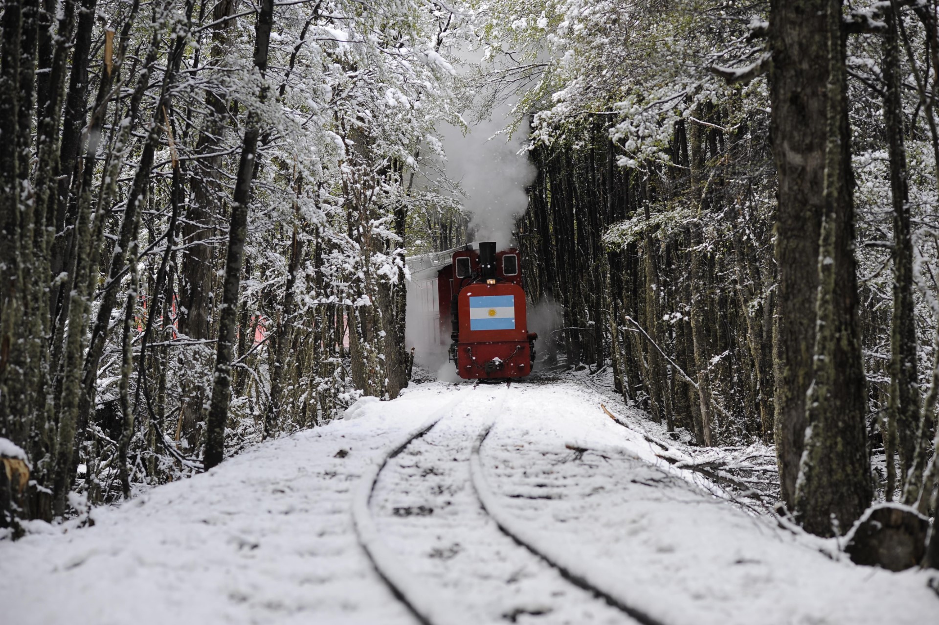 tren-ushuaia-savarin-turismo