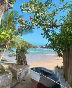 Lee más sobre el artículo BUZIOS